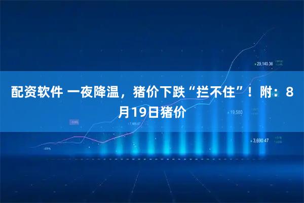 配资软件 一夜降温,猪价下跌“拦不住”!附:8月19日猪价